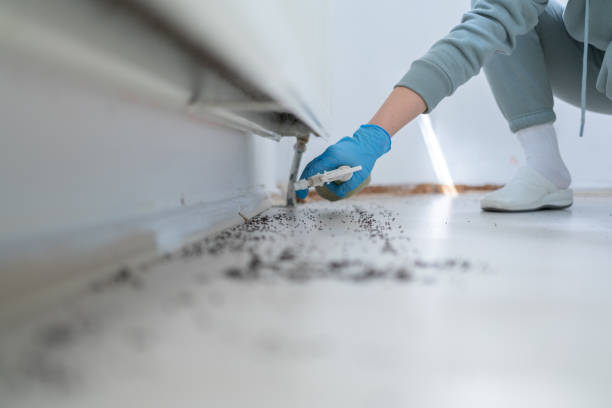 Best Pest Inspection Near Me  in Oatfield, OR